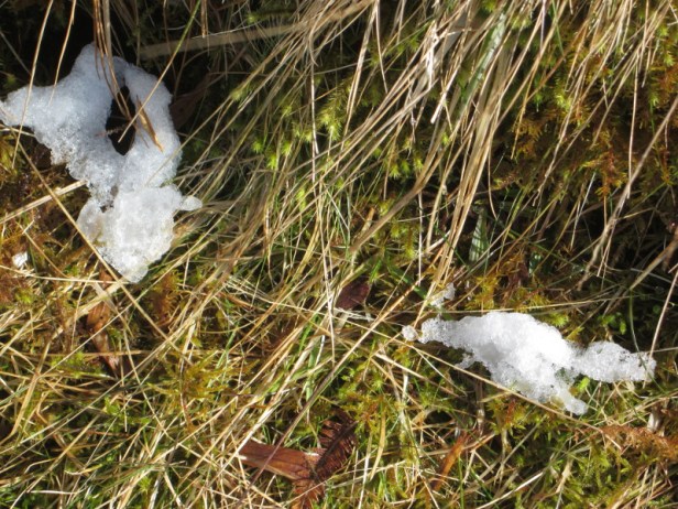 2018-04-02 snow at knockan