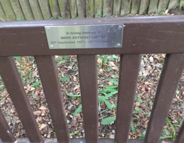 20180918_mark larner's seat