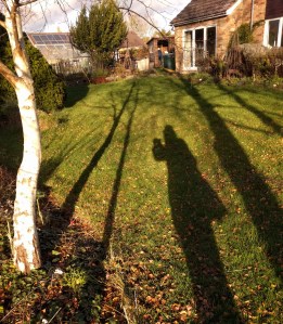 birch  shadows